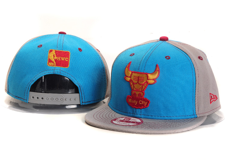 NBA Chicago Bulls NE Snapback Hat #246